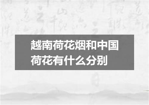 越南荷花烟和中国荷花有什么分别