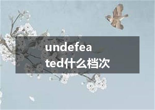 undefeated什么档次