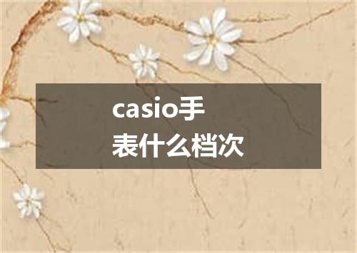 casio手表什么档次