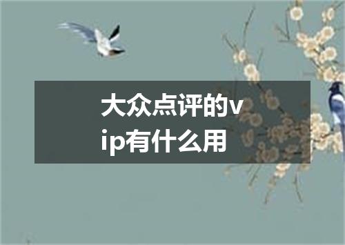 大众点评的vip有什么用