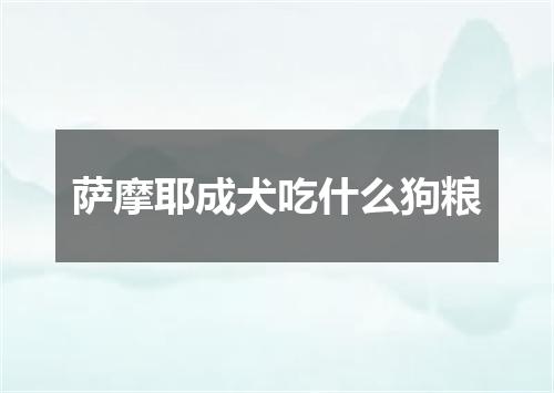 萨摩耶成犬吃什么狗粮
