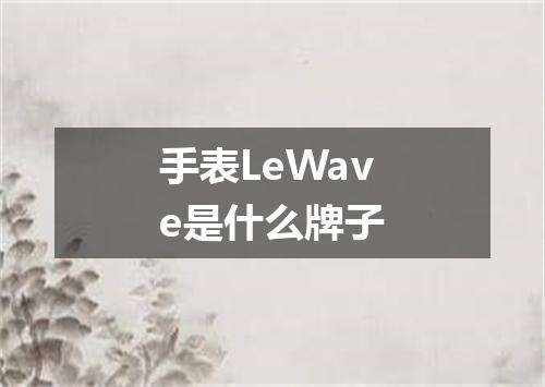 手表LeWave是什么牌子