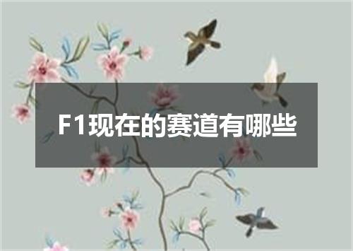 F1现在的赛道有哪些