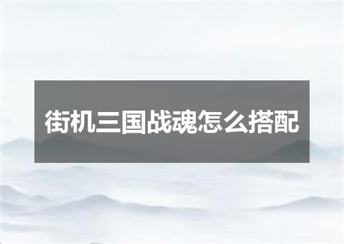 街机三国战魂怎么搭配