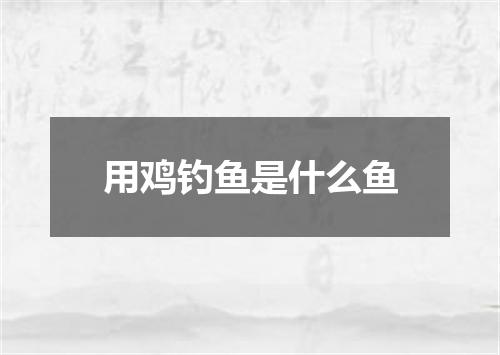 用鸡钓鱼是什么鱼
