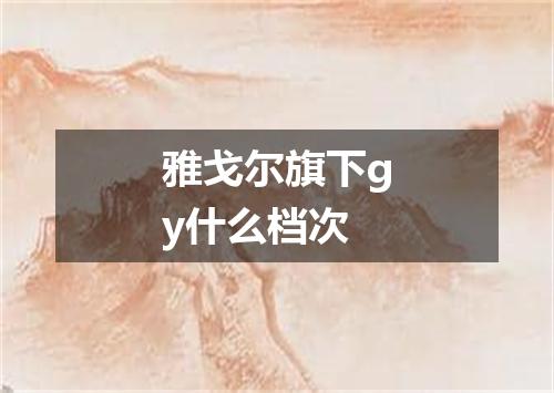 雅戈尔旗下gy什么档次