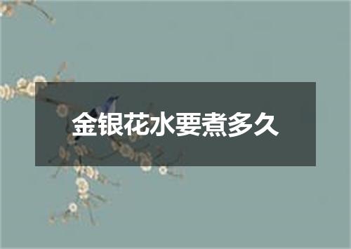 金银花水要煮多久