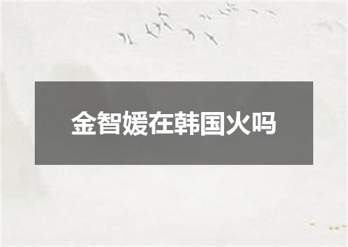 金智媛在韩国火吗