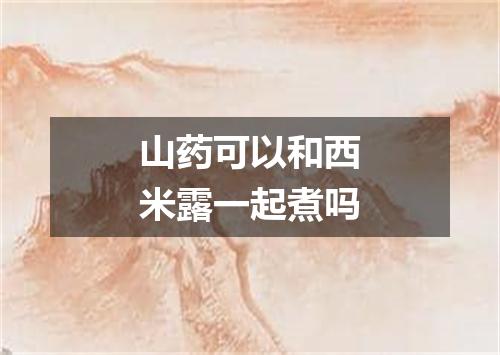 山药可以和西米露一起煮吗