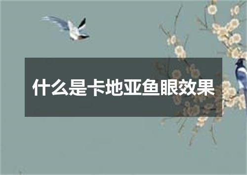 什么是卡地亚鱼眼效果