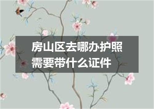 房山区去哪办护照需要带什么证件