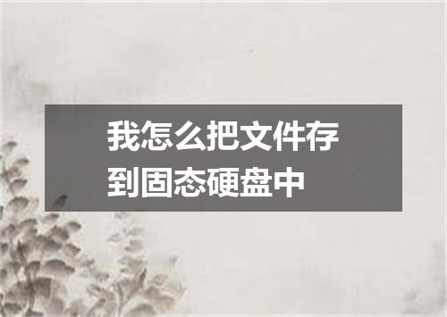 我怎么把文件存到固态硬盘中