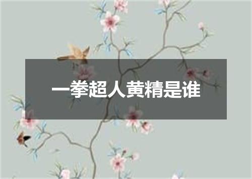 一拳超人黄精是谁