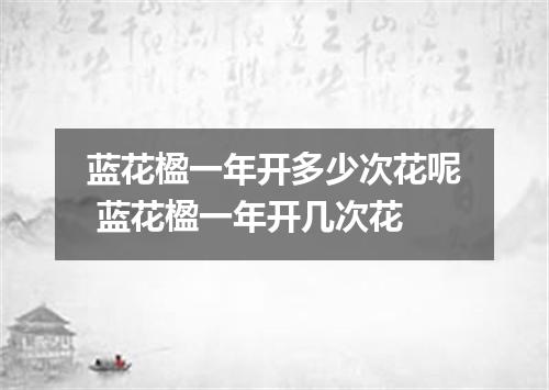 蓝花楹一年开多少次花呢 蓝花楹一年开几次花