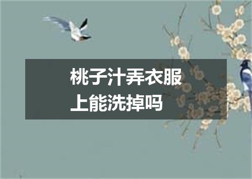 桃子汁弄衣服上能洗掉吗