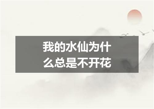 我的水仙为什么总是不开花