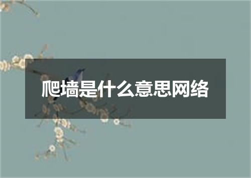 爬墙是什么意思网络