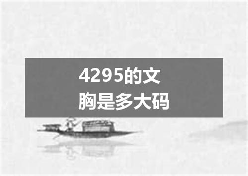4295的文胸是多大码