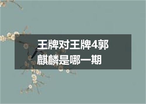 王牌对王牌4郭麒麟是哪一期
