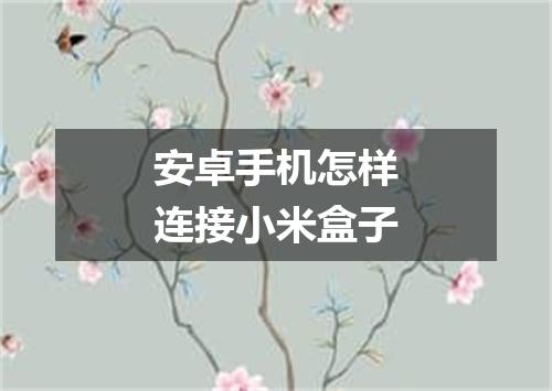 安卓手机怎样连接小米盒子