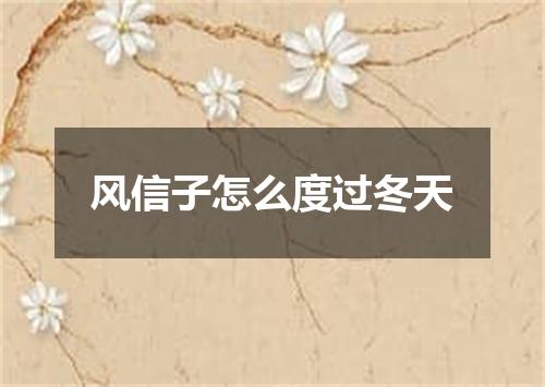 风信子怎么度过冬天