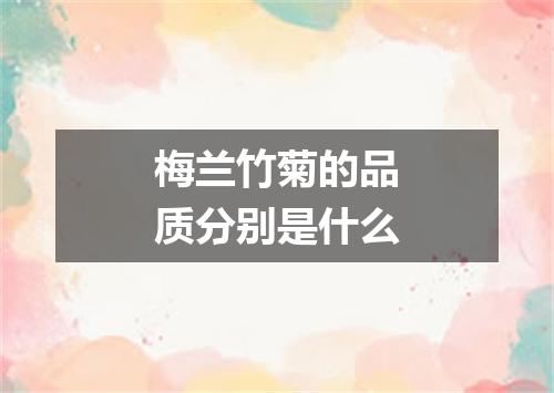 梅兰竹菊的品质分别是什么