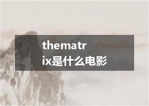 thematrix是什么电影