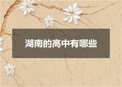 湖南的高中有哪些