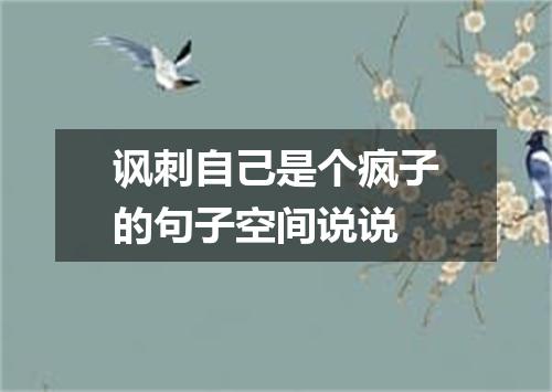 讽刺自己是个疯子的句子空间说说