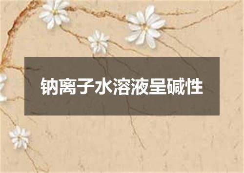 钠离子水溶液呈碱性