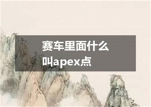 赛车里面什么叫apex点