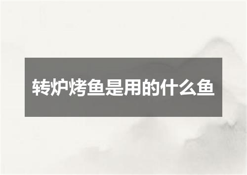 转炉烤鱼是用的什么鱼