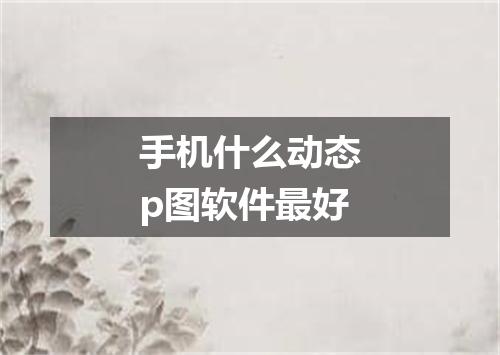 手机什么动态p图软件最好