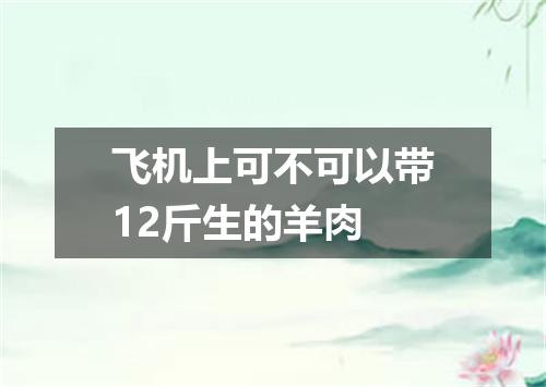 飞机上可不可以带12斤生的羊肉