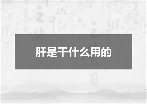 肝是干什么用的