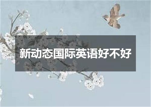 新动态国际英语好不好