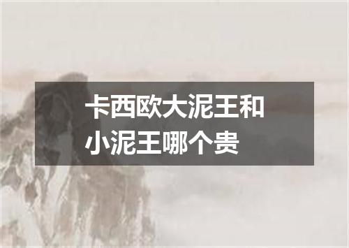 卡西欧大泥王和小泥王哪个贵