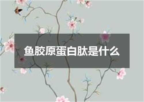 鱼胶原蛋白肽是什么