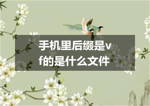 手机里后缀是vf的是什么文件
