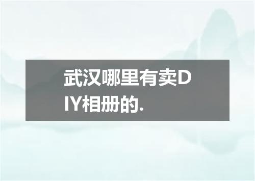 武汉哪里有卖DIY相册的.