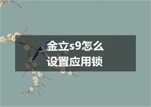 金立s9怎么设置应用锁