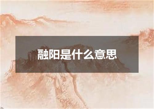 融阳是什么意思