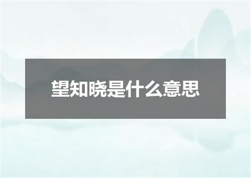 望知晓是什么意思