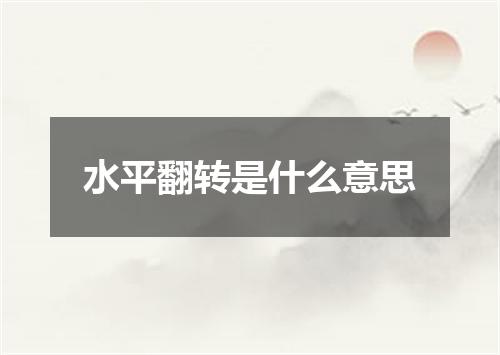 水平翻转是什么意思