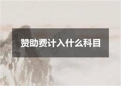 赞助费计入什么科目