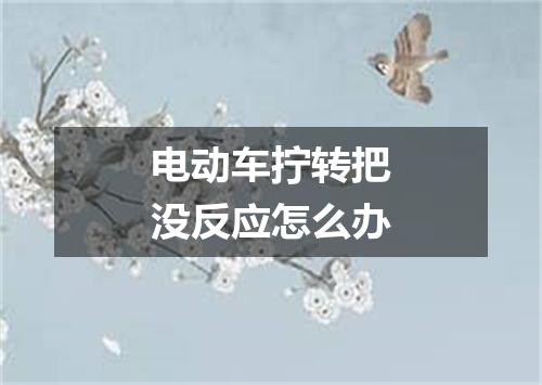 电动车拧转把没反应怎么办