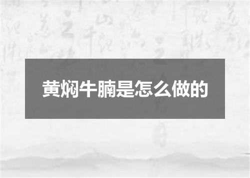 黄焖牛腩是怎么做的