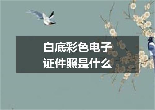 白底彩色电子证件照是什么