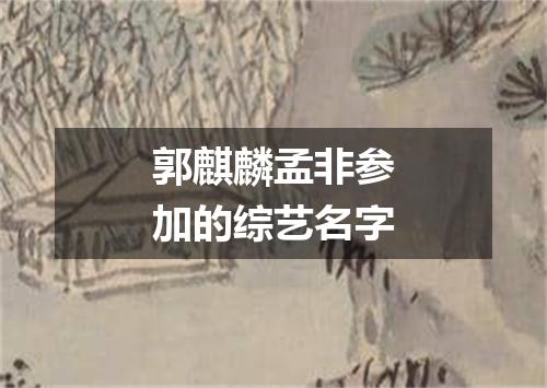 郭麒麟孟非参加的综艺名字