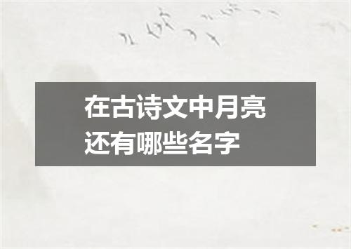在古诗文中月亮还有哪些名字